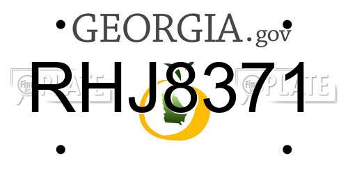 RHJ8371 Georgia License Plate
