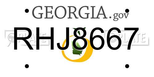 RHJ8667 Georgia License Plate