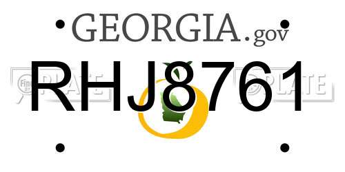 RHJ8761 Georgia License Plate