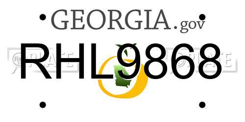 RHL9868 Georgia License Plate
