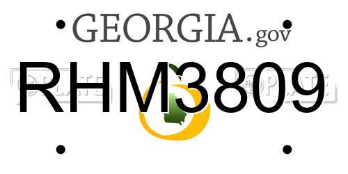RHM3809 Georgia License Plate