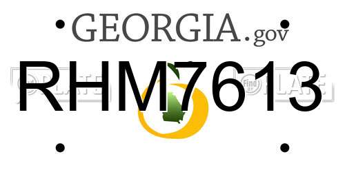 RHM7613 Georgia License Plate