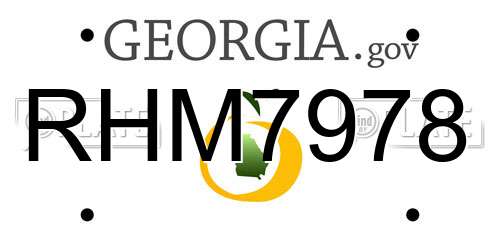 RHM7978 Georgia License Plate