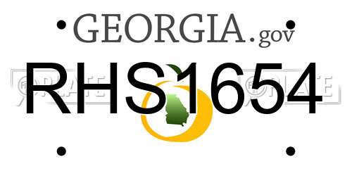 RHS1654 Georgia License Plate