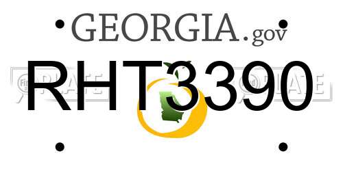RHT3390 Georgia License Plate