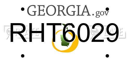 RHT6029 Georgia License Plate