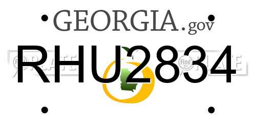 RHU2834 Georgia License Plate