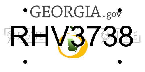 RHV3738 Georgia License Plate
