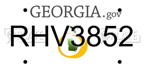 RHV3852 Georgia License Plate
