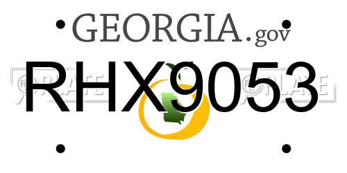 RHX9053 Georgia License Plate