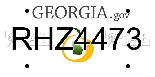 RHZ4473 Georgia License Plate