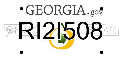 RI2I508 Georgia License Plate