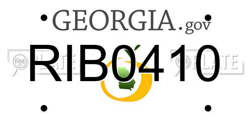 RIB0410 Georgia License Plate
