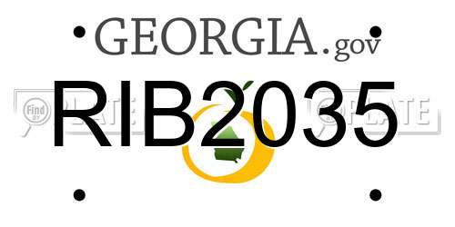 RIB2035 Georgia License Plate