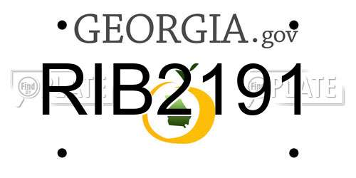 RIB2191 Georgia License Plate