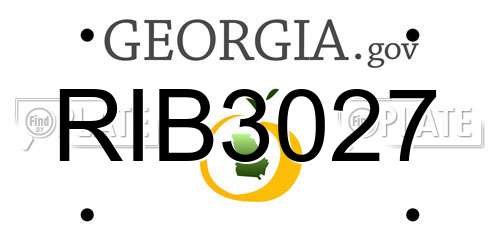 RIB3027 Georgia License Plate