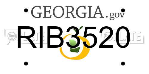 RIB3520 Georgia License Plate