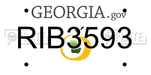 RIB3593 Georgia License Plate