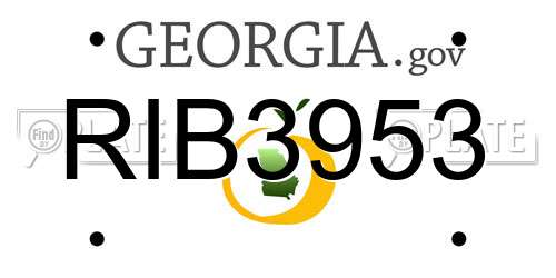 RIB3953 Georgia License Plate