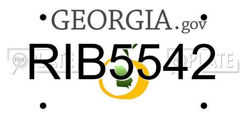 RIB5542 Georgia License Plate