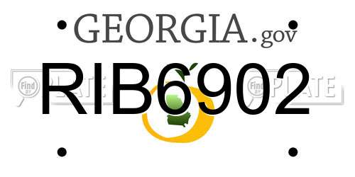 RIB6902 Georgia License Plate