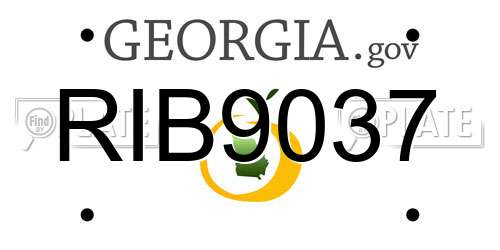 RIB9037 Georgia License Plate