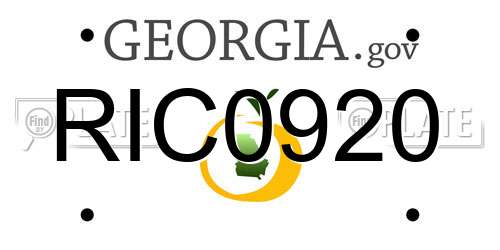 RIC0920 Georgia License Plate