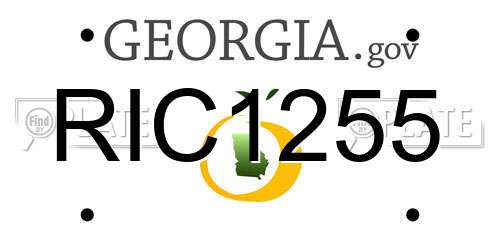 RIC1255 Georgia License Plate