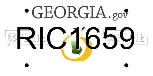 RIC1659 Georgia License Plate