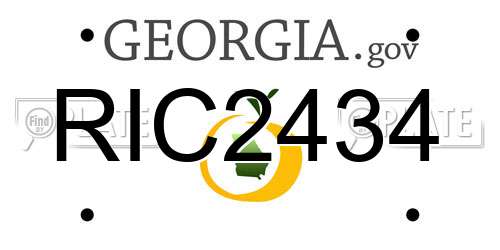 RIC2434 Georgia License Plate