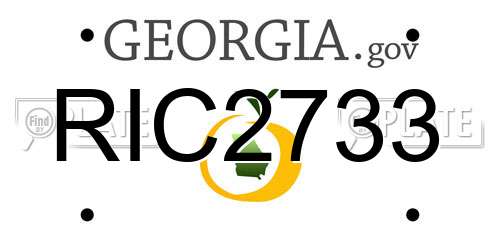RIC2733 Georgia License Plate