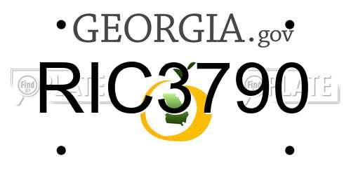 RIC3790 Georgia License Plate
