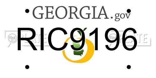 RIC9196 Georgia License Plate