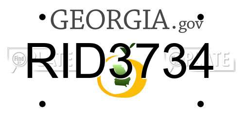 RID3734 Georgia License Plate