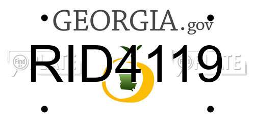 RID4119 Georgia License Plate