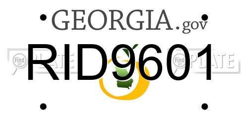 RID9601 Georgia License Plate