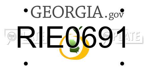 RIE0691 Georgia License Plate