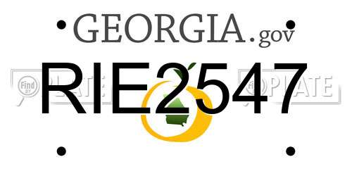 RIE2547 Georgia License Plate