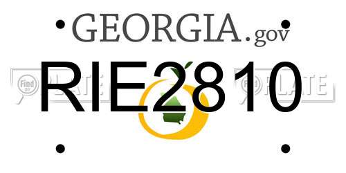 RIE2810 Georgia License Plate