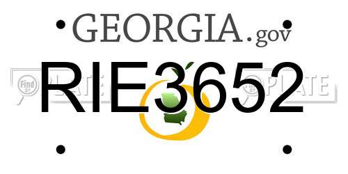 RIE3652 Georgia License Plate