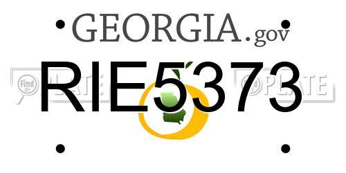 RIE5373 Georgia License Plate