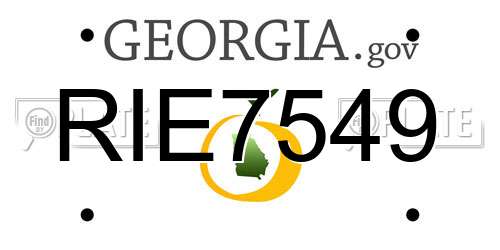 RIE7549 Georgia License Plate