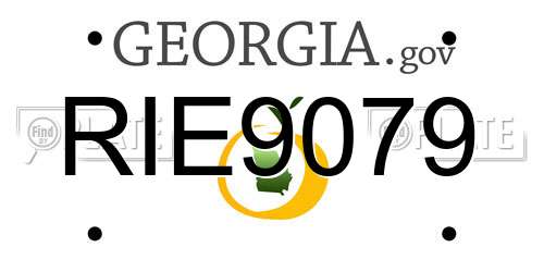 RIE9079 Georgia License Plate