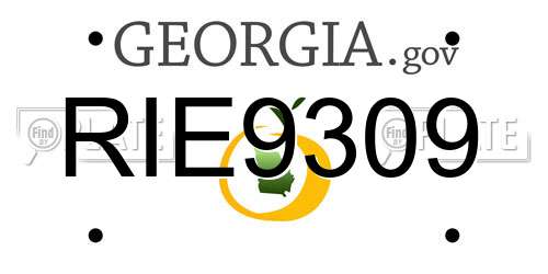RIE9309 Georgia License Plate