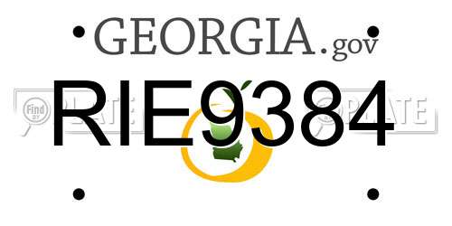 RIE9384 Georgia License Plate