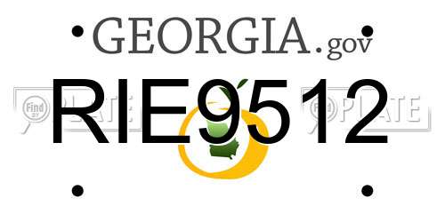 RIE9512 Georgia License Plate