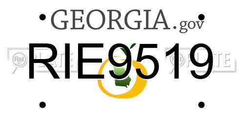 RIE9519 Georgia License Plate