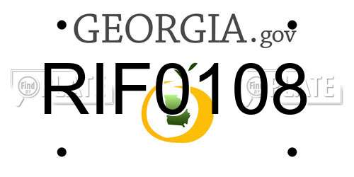 RIF0108 Georgia License Plate