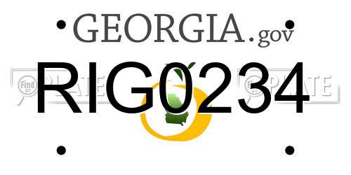 RIG0234 Georgia License Plate