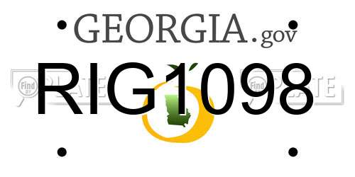 RIG1098 Georgia License Plate